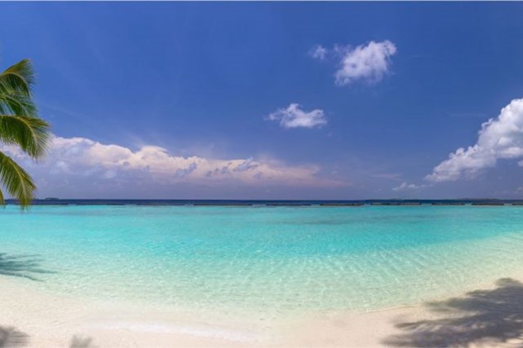 strand-meer-palmen-panorama-wandtattoo-bild-poster-aufkleber-w0024